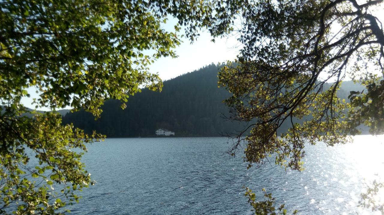 Le Trefle D'Or Appartement Gérardmer Buitenkant foto